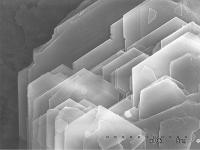 絹雲母の電子顕微鏡写真